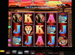 壹元娱乐官方网站入口2024最新版